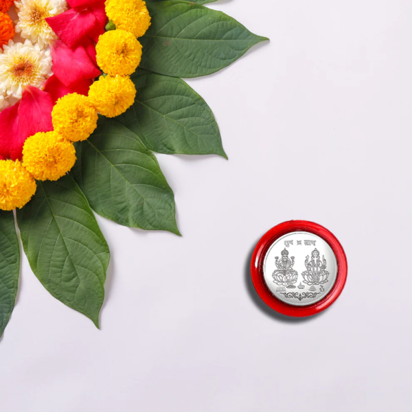 Pooja Coin Premium Quality Stainless Steel Purified by Mantras